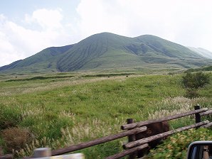 P9240263.jpg
